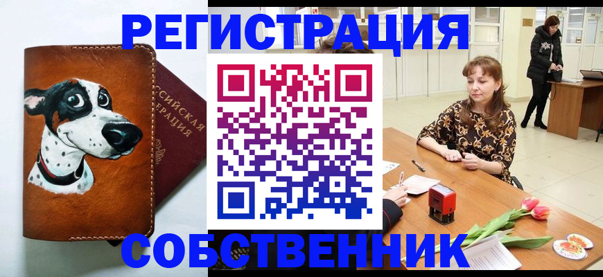 регистрация в Киришах